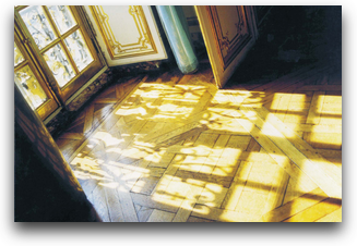 Photo by Felicity Spear of the parquet floor of Louis XIV’s sitting room at Versailles